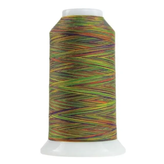 9044 Zumba Omni Variegated Polyester Thread {1}