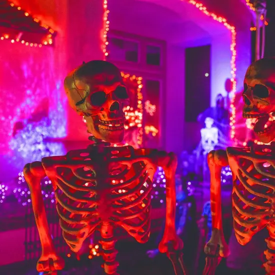 12 Pack Halloween Orange Fairy String Lights {5}