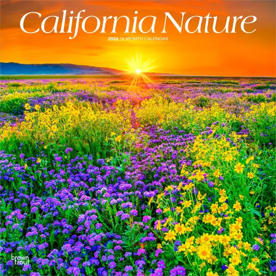 California Nature | 2026 12 x 24 Inch (Hanging) Monthly Square Wall Calendar | Plastic-Free {1}