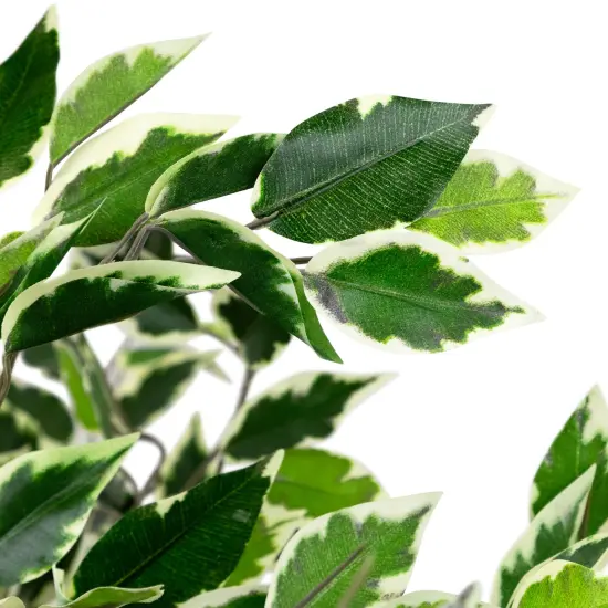 Northlight Artificial Variegated Ficus Leaf Potted Plant - 47" Green {6}