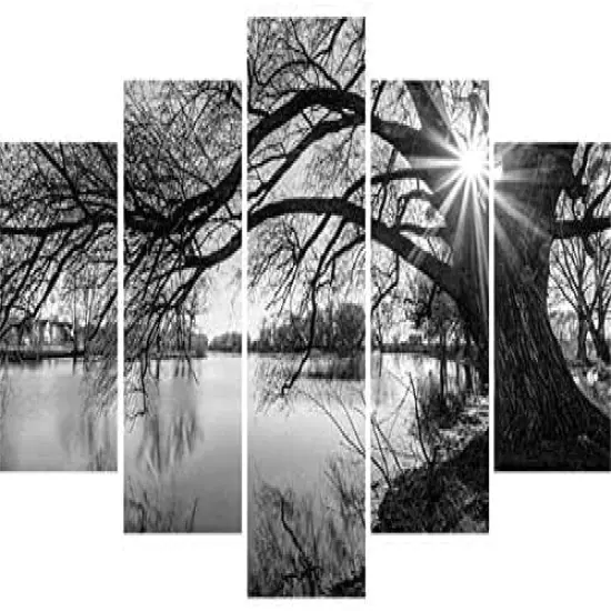 DIY 5D Full Diamond Art Kit,Black and White Tree Lake Surface Sunshine 5 Piece Multi Diamond Art Kits for Adults Paint with Diamonds Kits Diamonds Embroidery by Numbers 17.7x37.4 inch {2}