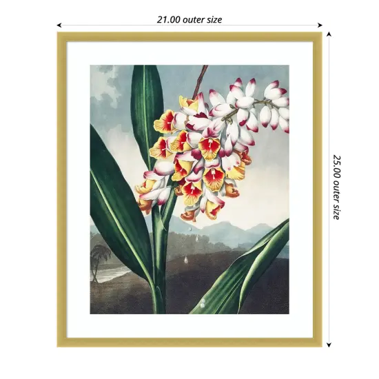 Temple of Flora VII by Dr. robert j. Thornton Wood Framed Wall Art Print {4}