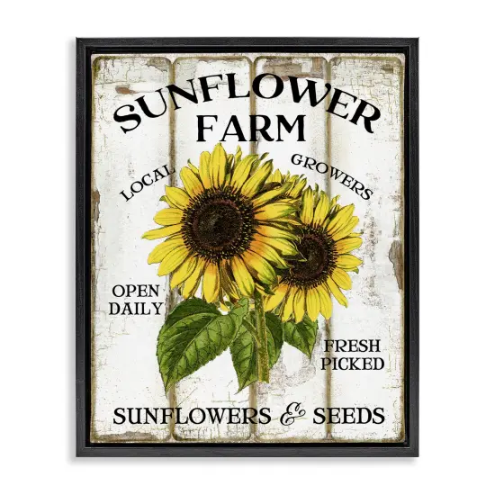 Stupell Industries Antique Sunflower Farm Seeds Floater Framed Canvas Wall Art Design by Creatif Belle {7}