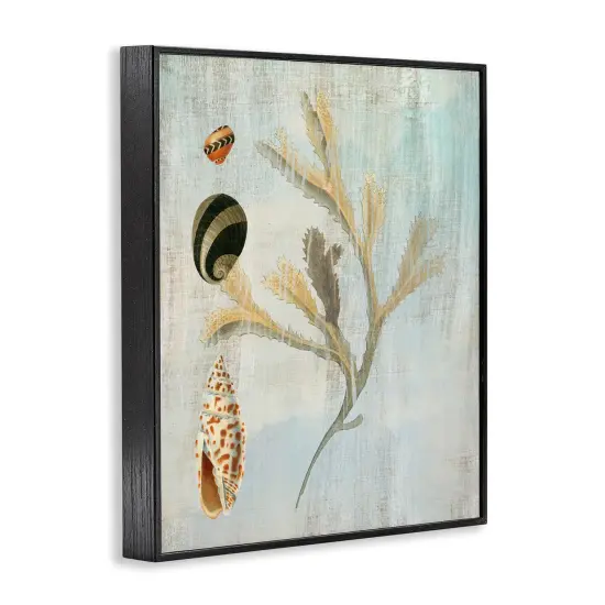 Stupell Industries Mixed Seashells & Coral Framed Giclee Design by Susan Arnot {3}