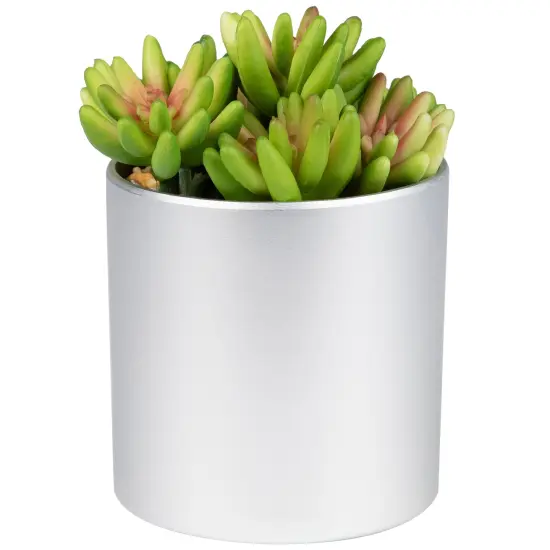 Northlight 4.75" Potted Red and Green Artificial Sedum Succulent {4}