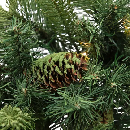 Northlight Pre-Lit Battery Operated Mossy Cashmere Pine Artificial Christmas Wreath - 32" - Clear Led Lights Green {7}