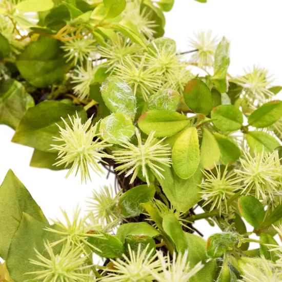 Northlight Jujube Floral and Foliage Artificial Springtime Wreath - 18" Green {6}