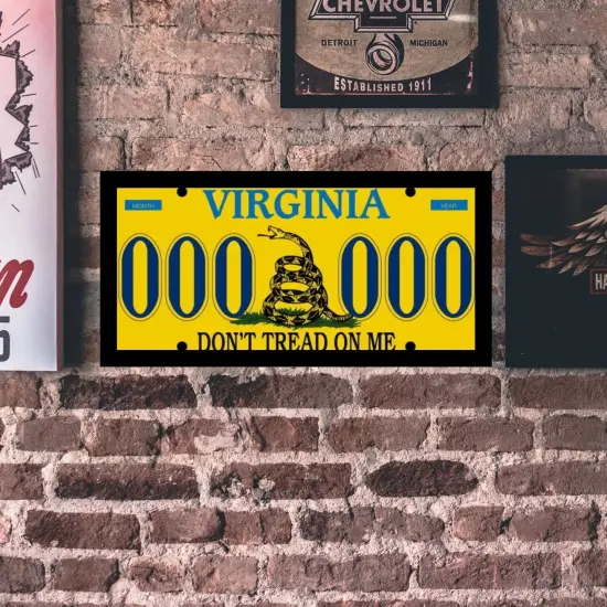 12 x 4 License Plate Frame - Custom Picture Frame for Motorcycle (USA, various states) {1}