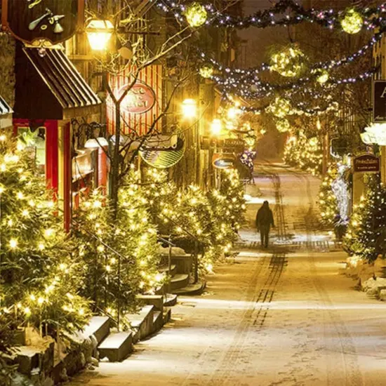 66ft 200 LED Green Wire Christmas Decorative Mini String Lights {5}