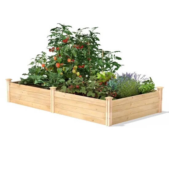 Cedar Wood Raised Garden Bed 4 ft x 8 ft for Easy Garden Setup {1}
