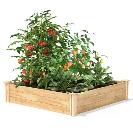 Natural Pine Wood 4x4 Raised Garden Bed Planter Box {2}