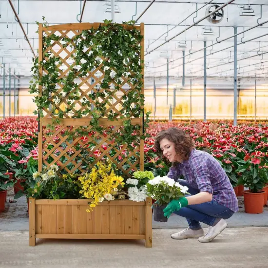 Outdoor Raised Garden Bed with Trellis for Climbing Plants 71-inch {3}