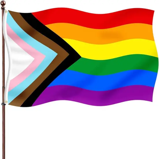 Progress Pride Rainbow Flag 3x5 Outdoor-Vivid Color Bisexual LGBTQ Community Banner Non Binary Transgender Inlcusive Gay Pride Lesbian Flags {1}