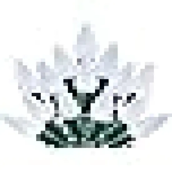 8 Modes Christmas Lights for Indoor Outdoor Home Garden Yard Xmas Tree Decoration {6}