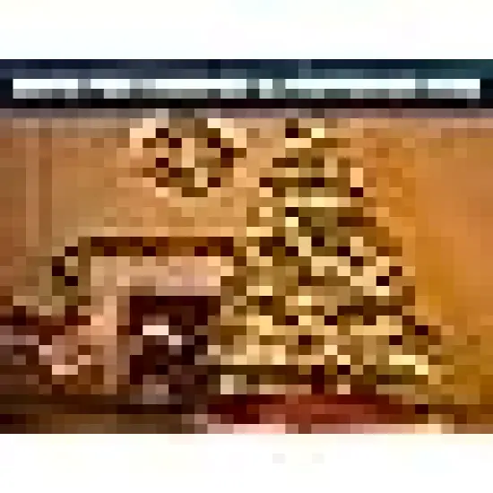 Classroom Bedroom Holiday Wedding Party Garland Birthday Festival {2}