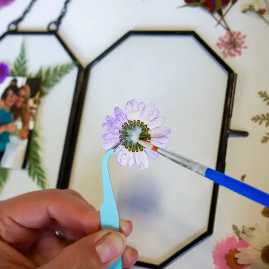 Framed Pressed Flowers Kit {4}