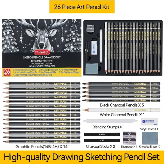 Drawing Sketching Pencil Set, 26 Piece Pro Art Pencil Sketch Kit - Graphite Pencils (14B-4H), Black and White Charcoal Pencils, Charcoal Sticks, Blending Stump, Eraser, Sharpeners {2}