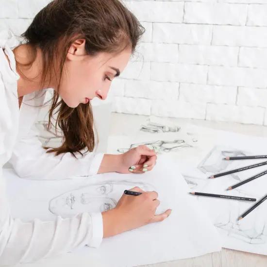 Professional Drawing Sketching Pencil Set - 12 Pieces,Graphite,(14B - 2H), Graphite Drawing, Artist Pencils for Beginners，Shading，Sketching,Drawing Art {5}