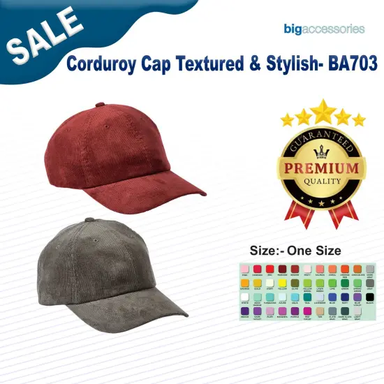 Big Accessories&reg; Corduroy Cap Textured & Stylish NAVY {2}