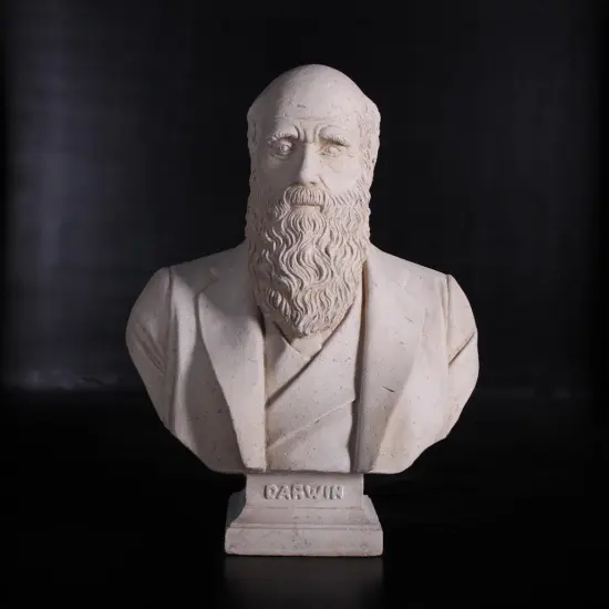 Darwin Stone Bust Life Size Statue {4}
