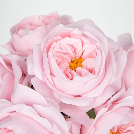 Pink Roses Peonies Artificial Flowers with Glass Vase Silk David Austin Roses Faux Flowers Arrangements with Clear Faux Water in Vase Fake Peonies Rose Peony Floral Bulk Bouquet Home Decor {3}