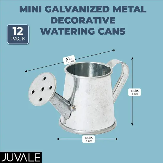 12-Pack Mini Galvanized Watering Can, Decorative Mini Watering Can for Crafts, Party Favors, Housewarmings, Garden-Theme Parties, and Home Decor (Silver, 3x1.6 in) {4}