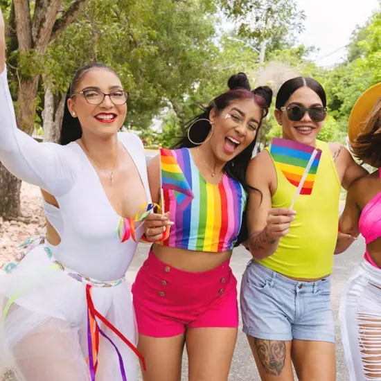 25 Pcs Pride Flag Progress LGBTQ Accessories Gay LGBT Classic Rainbow Pride Flags Stuff Decorations Hand Held Stick Small Flags Bulk for Parade Rainbow Festival Party {2}