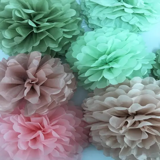 Tissue Paper Pom Poms Kit Decor -Rose Pink and Sage Green Paper Flowers 12pieces for Gender Baby Shower Wedding Bridal Bachelorette Birthday Party Decorations (Green + Pink) {3}