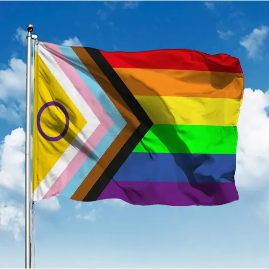 Pride Flag Outdoor New Intersex-Inclusive Progress Pride Flags 4x6 Gay Bisexual LGBTQ+ Rainbow Banner Fade-Resistant {2}