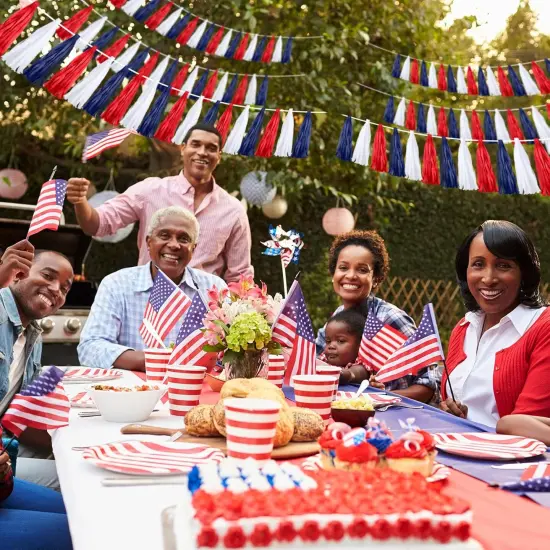 30 Pcs Red Blue White Banner Party Decorations {2}