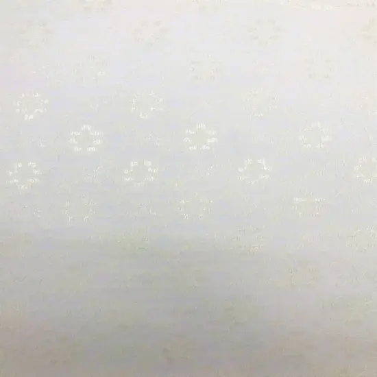 1 Yard Ivory Rachelle Lace Fabric Elegant Sheer Floral Lace for Bridal, Craft & D&eacute;cor 58&Prime;-60&Prime; Wide {1}