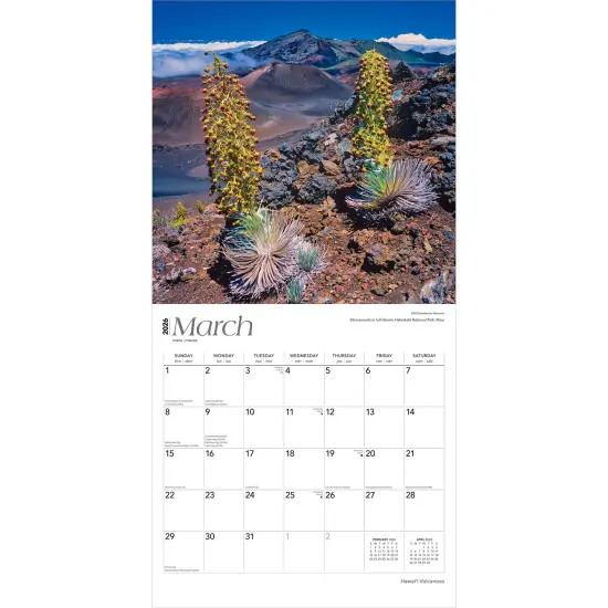 Hawaii Volcanoes | 2026 12 x 24 Inch (Hanging) Monthly Square Wall Calendar | Plastic-Free {3}