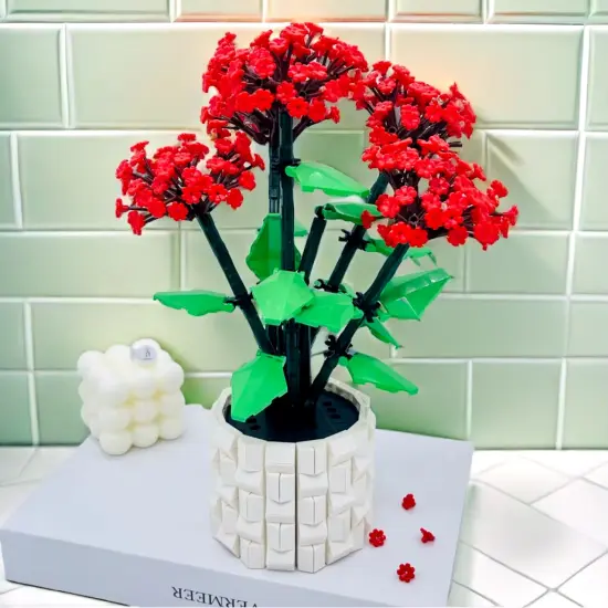 Ipomoea Quamoclit Building Brick Potted Flower F07M9-6(101) {1}