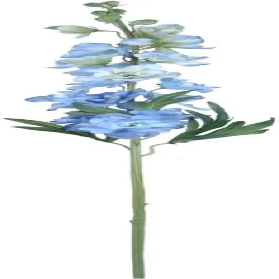 Blue 36.5" Delphinium Stem {1}