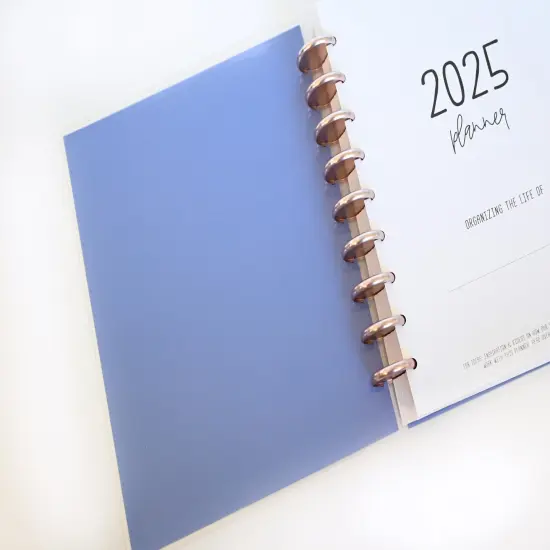 2025 Planner - Horizontal Layout, Disc Bound - "Butterfly Doodles" (#709) {4}