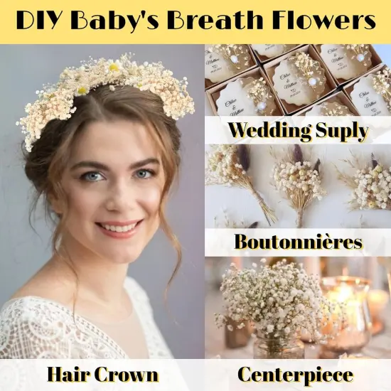 4700+ Mini Dried Babys Breath Flowers, 90+Pcs Ivory White Baby Breath Flower Bulk, Dried Flowers for Crafts, Wedding Decor Boho Invitation, Resin Candle Making, Dry Babies Flowers, Rustic Gypsophila {2}