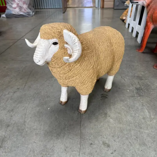 Baby Merino Ram Life Size Statue {5}