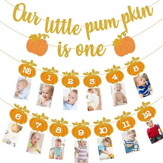 Fall Pumpkin 1st Birthday Photo Banner - Autumn Milestone Photograph Bunting {1}
