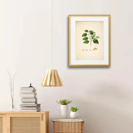 Gold Frame with Mount, 16x20" &ndash; Easy No-Nail Hanging, Horizontal or Vertical! {4}