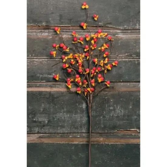 18" Orange-Red Bittersweet Spray Ideal for Floral Designs or Seasonal Decor {2}