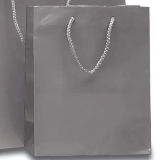 High-Gloss Mini Paper Totes 4 3/4'' x 2 3/4'' x 6 3/4'' for Stylish Gifts Non-Metallic Silver {7}