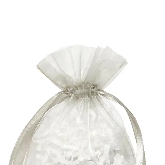 Organza Bags 6&rdquo; x 9&rdquo; for Beautiful Gift Wrappin {6}