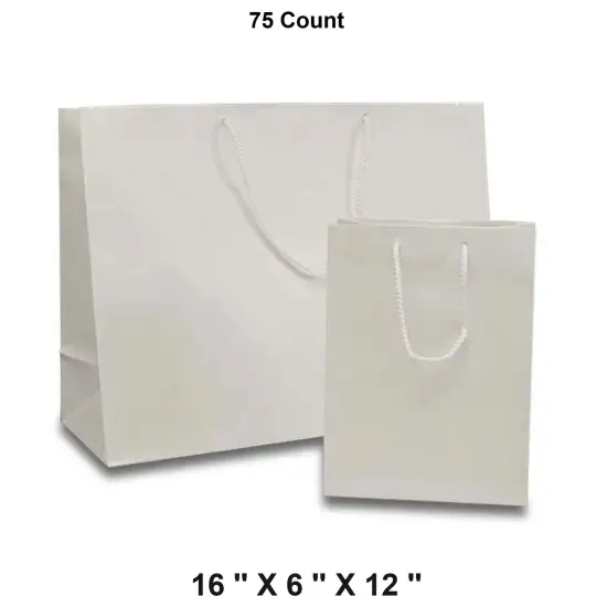 Glossy Euro Totes 16'' x 6'' x 12'' for Small Packaging Needs White {1}