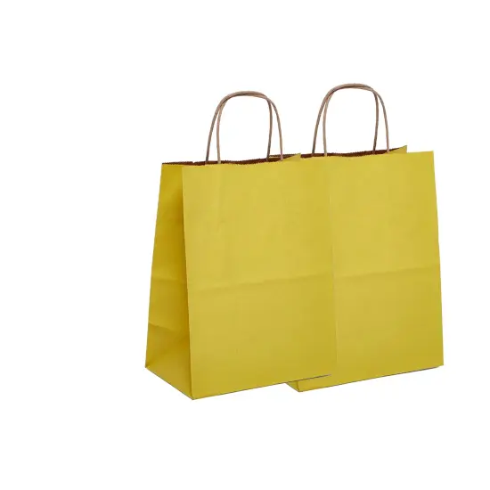 Tinted Kraft Paper Shopping Bag Ideal for Larger Goods, 5.5" x 3.25" x 13" {4}