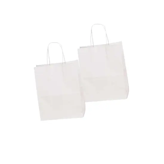 Glossy Carry Bags 8'' X 4 3/4'' X 10 1/4'' for Retail White {2}