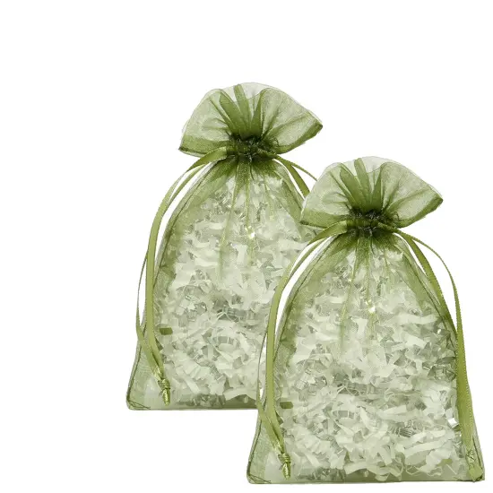 Elegant 6&rdquo; x 9&rdquo; Organza Bags Ideal for Special Gifts {2}