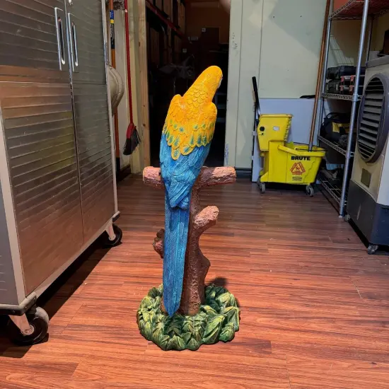 Mutation Macaw Yellow Blue Parrot On Branch Life Size Statue {6}