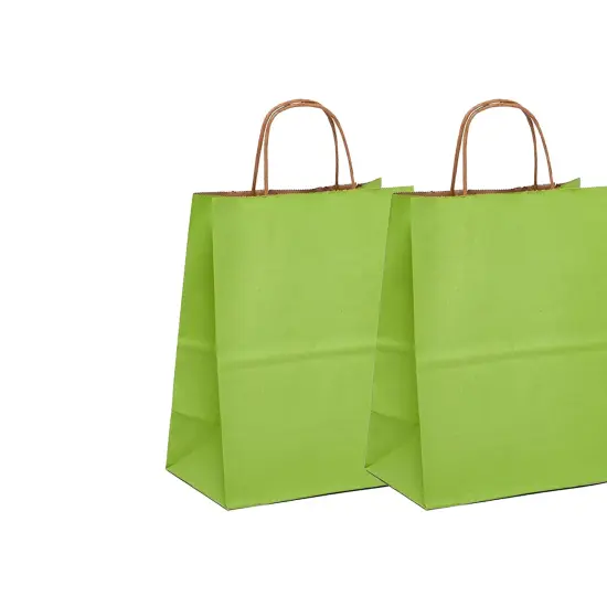 Sturdy Kraft Paper Tinted Shopping Bag 16" x 6" x 12" {6}