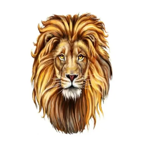 Lion with a Full Mane Edible Cake Topper- 1/4 Sheet {1}