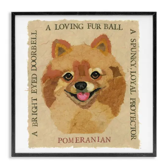 Stupell Industries Fun Pomeranian Pet Phrases Framed Giclee Wall Art Design by Nancy Overton {1}